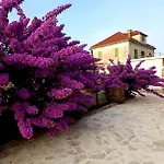 度假居 Roza Srednje Selo na Šolti