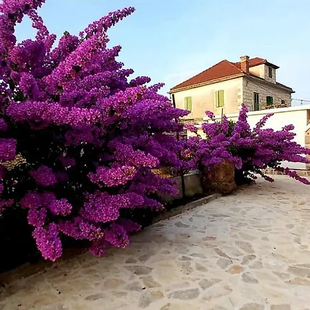 Ferienhaus Roza Srednje Selo na Šolti