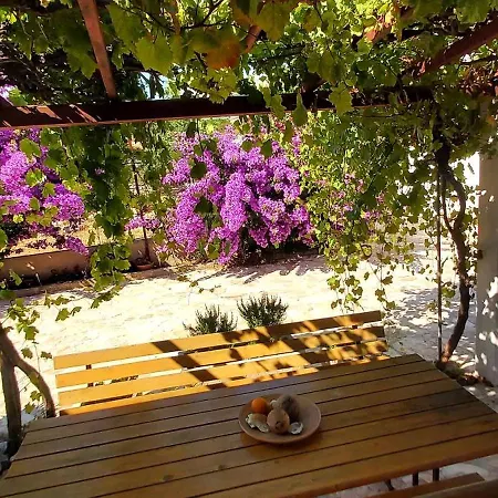 Roza Holiday home *