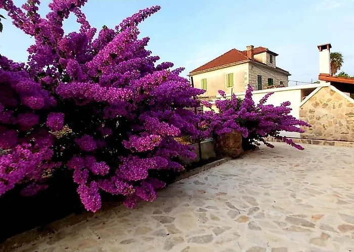 Vakantiehuis Roza Srednje Selo na Šolti
